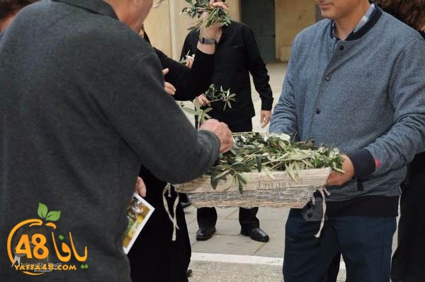 masrira latinyafa (26).JPG